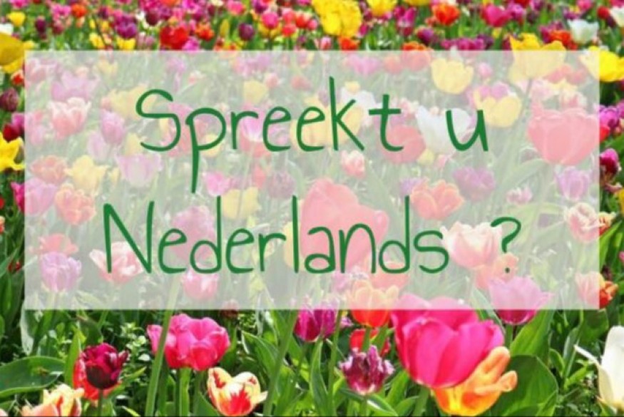 REPORTAGE TERRITOIRE PARLEZ - VOUS NEERLANDAIS ?